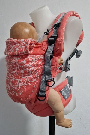 Donkey_nosimte_turnov11